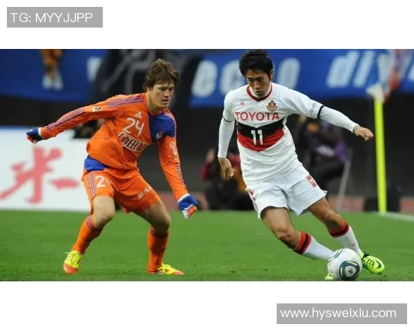 新泻天鹅迎战琉球FC期待精彩对决与激烈竞争